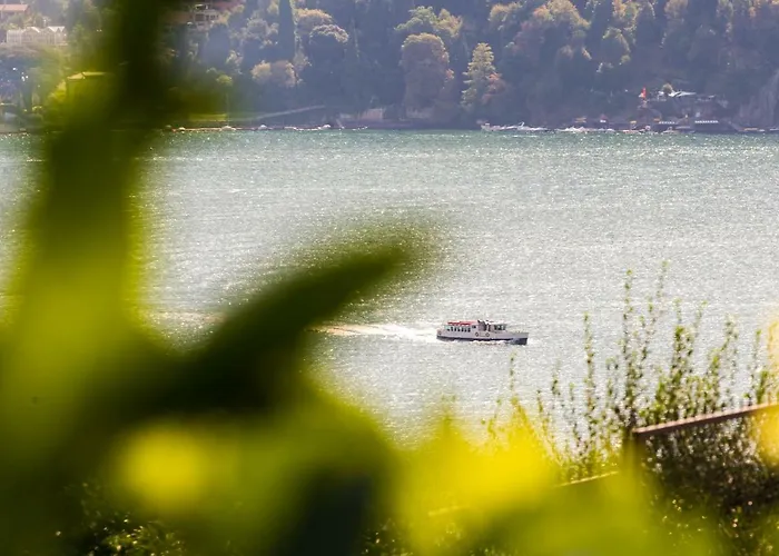 Vittoria - The House Of Travelers ヴィラ